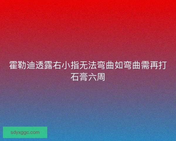 霍勒迪透露右小指无法弯曲如弯曲需再打石膏六周