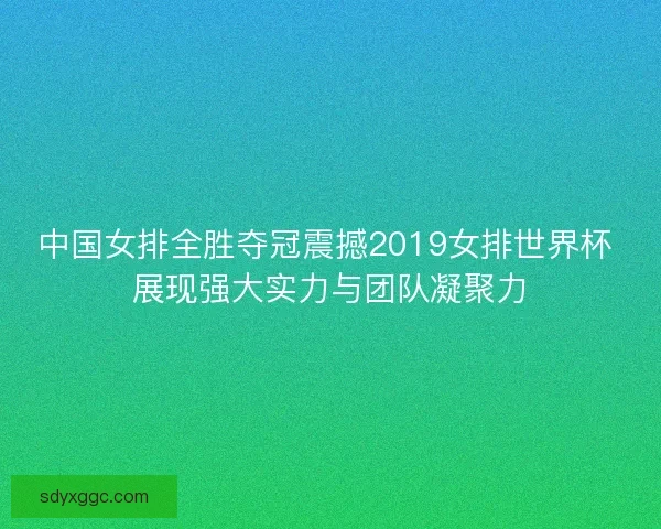 中国女排全胜夺冠震撼2019女排世界杯 展现强大实力与团队凝聚力