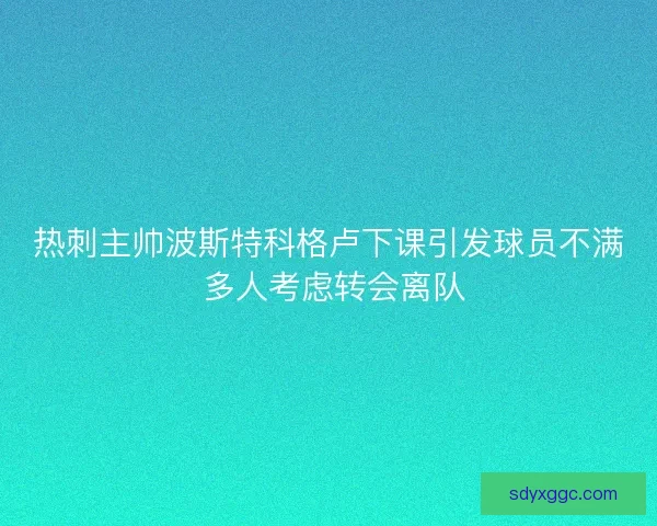 热刺主帅波斯特科格卢下课引发球员不满 多人考虑转会离队